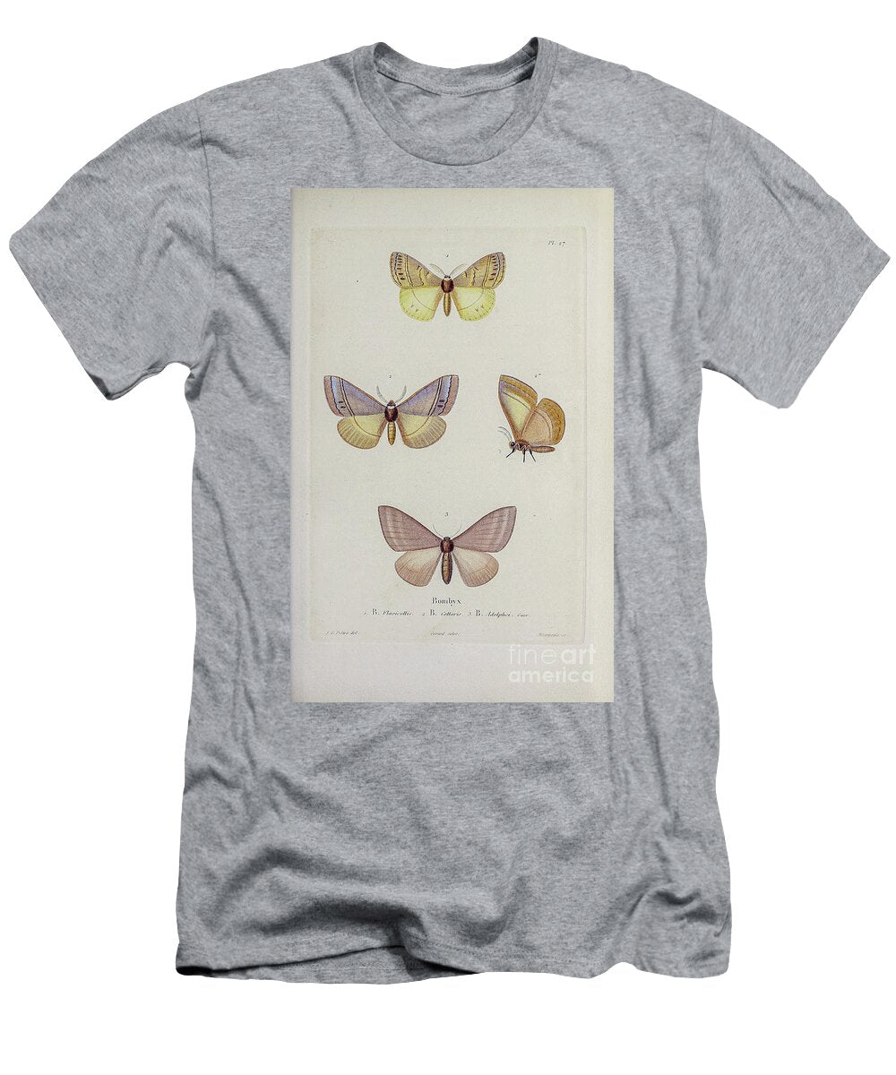 Souvenirs From a Voyage to India 1843 R18 Historic Illustrations T-Shirt