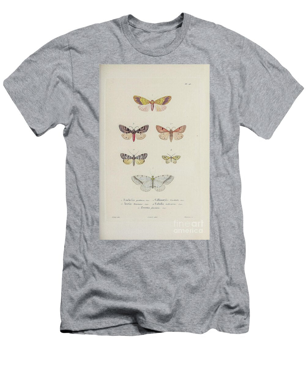 Souvenirs From a Voyage to India 1843 R19 Historic Illustrations T-Shirt