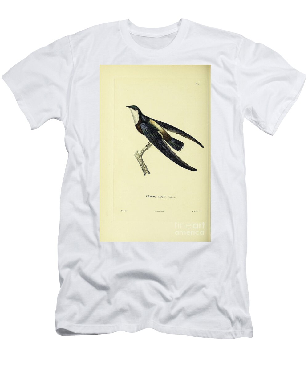Souvenirs From a Voyage to India 1843 R2 Historic Illustrations T-Shirt