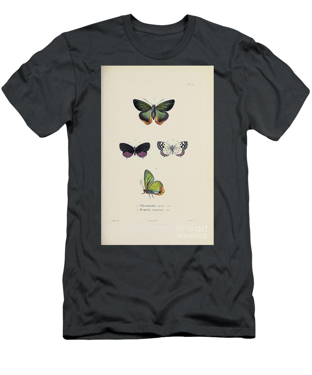 Souvenirs From a Voyage to India 1843 R20 Historic Illustrations T-Shirt