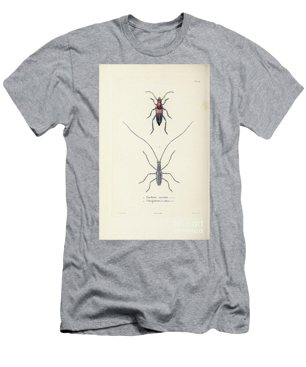 Souvenirs From a Voyage to India 1843 R4 Historic Illustrations T-Shirt