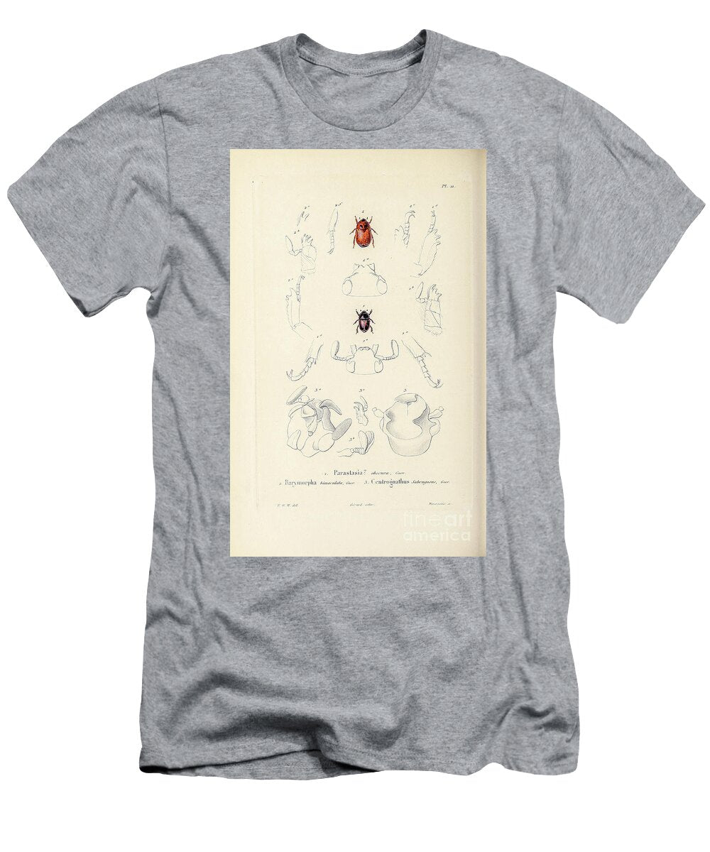 Souvenirs From a Voyage to India 1843 R6 Historic Illustrations T-Shirt