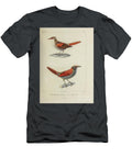 Spinetails of South America 1835 U1 Historic Illustrations T-Shirt