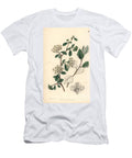 Spiree Filipendulum Downy Spiraea Spiraea Pubescens European School T-Shirt