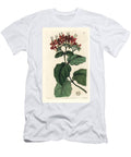 Splendid Clerodendron Scarlet Glory Tree Clerodendrum Splendens European School T-Shirt