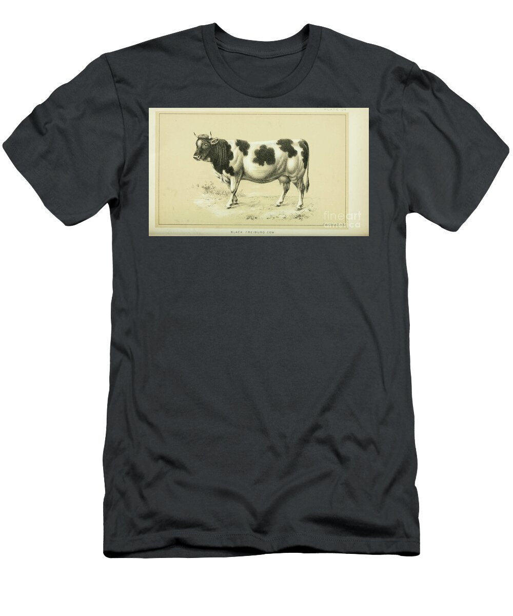 Spotted Cattle and Dairy Farming Q1 Historic Illustrations T-Shirt