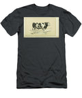Spotted Cattle and Dairy Farming Q2 Historic Illustrations T-Shirt