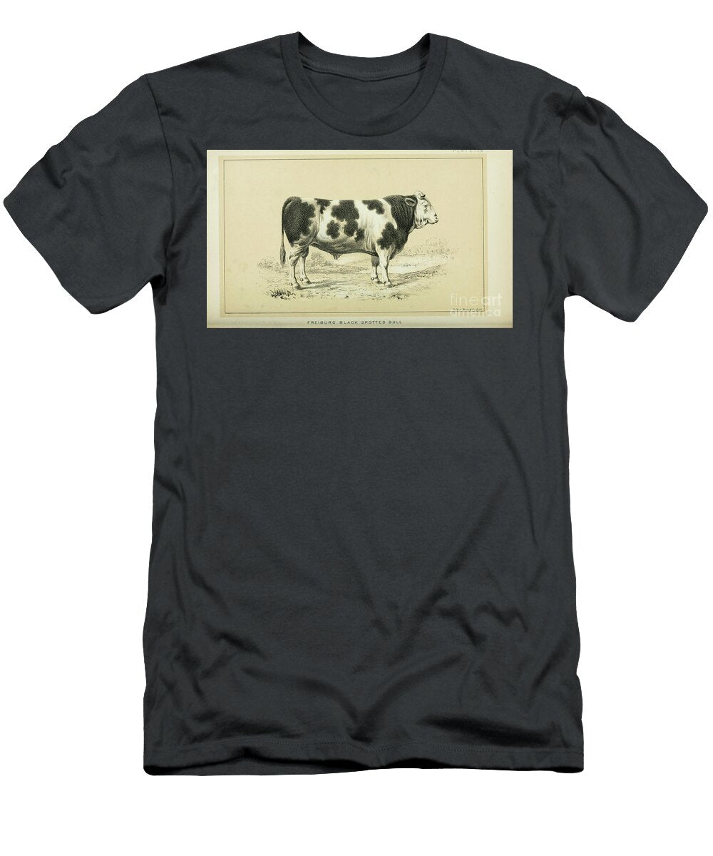 Spotted Cattle and Dairy Farming Q2 Historic Illustrations T-Shirt