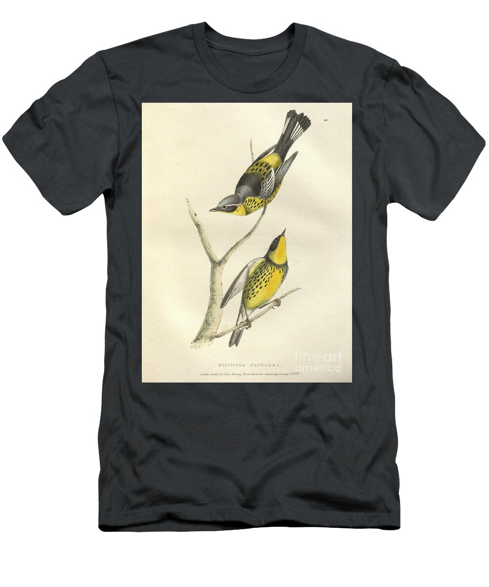 Spotted Warbler Sylvicola Maculosa O1 Historic Illustrations T-Shirt