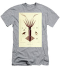 Squid Loligo B1 Historic Illustrations T-Shirt