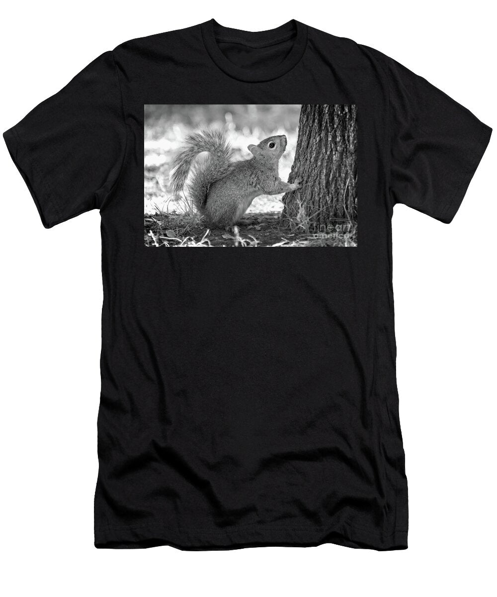 Squirrel in Montreal Delphimages Photo Creations T-Shirt