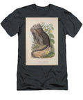 Squirrel Zoologia Typica Q1 Historic Illustrations T-Shirt