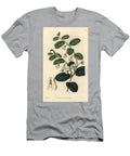 Staphylier Bladdernut or Wild Coffee Diospyros Whyteana Shining Royena Royena Lucida European School T-Shirt