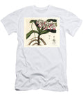 Star of Madagascar Sir Richard Brookes Air Plant Aerides Crispum European School T-Shirt
