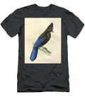 Stellers Jay Garrulus Stelleri O1 Historic Illustrations T-Shirt
