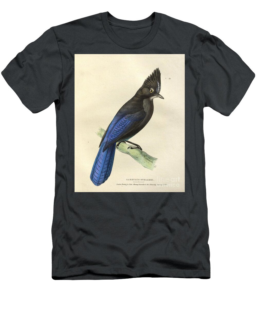 Stellers Jay Garrulus Stelleri O1 Historic Illustrations T-Shirt