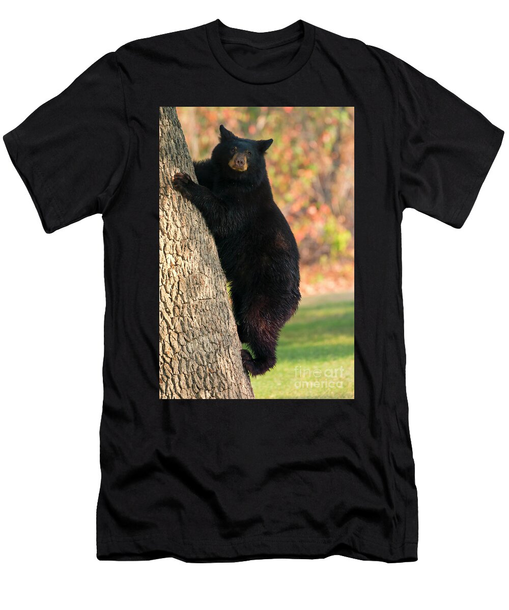 Stepping Down Mike Dawson T-Shirt