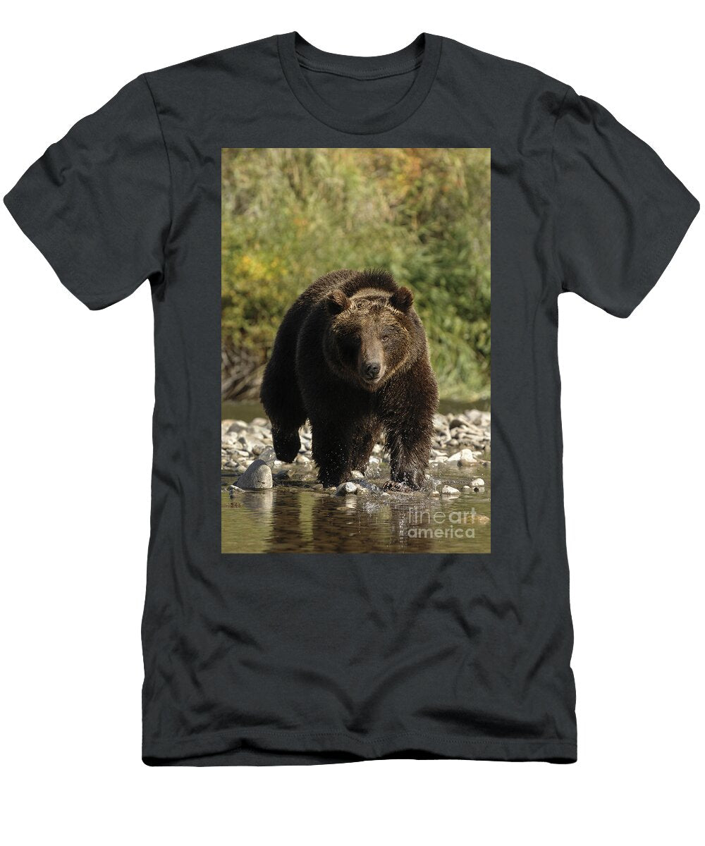 Streaming Robert Weiman T-Shirt