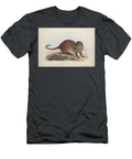 Stripe Necked Mongoose Herpestes Vitticollis Q1 Historic Illustrations T-Shirt