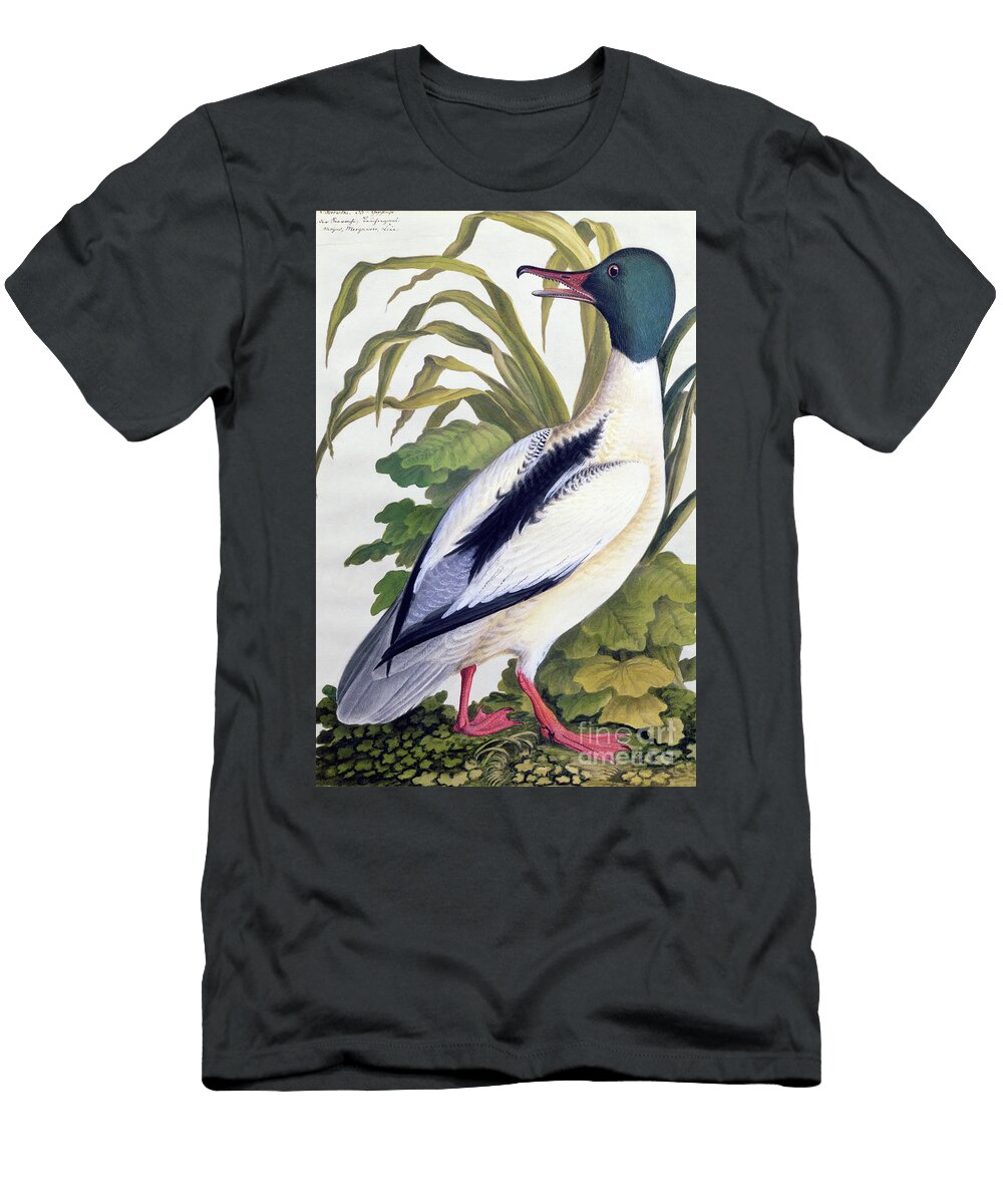 Study of a Mallard Duck C1790 German School T-Shirt
