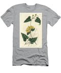 Stygmaphyllon Native to South America Sydenham Teast Edwards T-Shirt