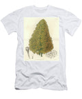 Succulent Plant Flower of Aenium Native to the Canary Islands Sydenham Teast Edwards T-Shirt