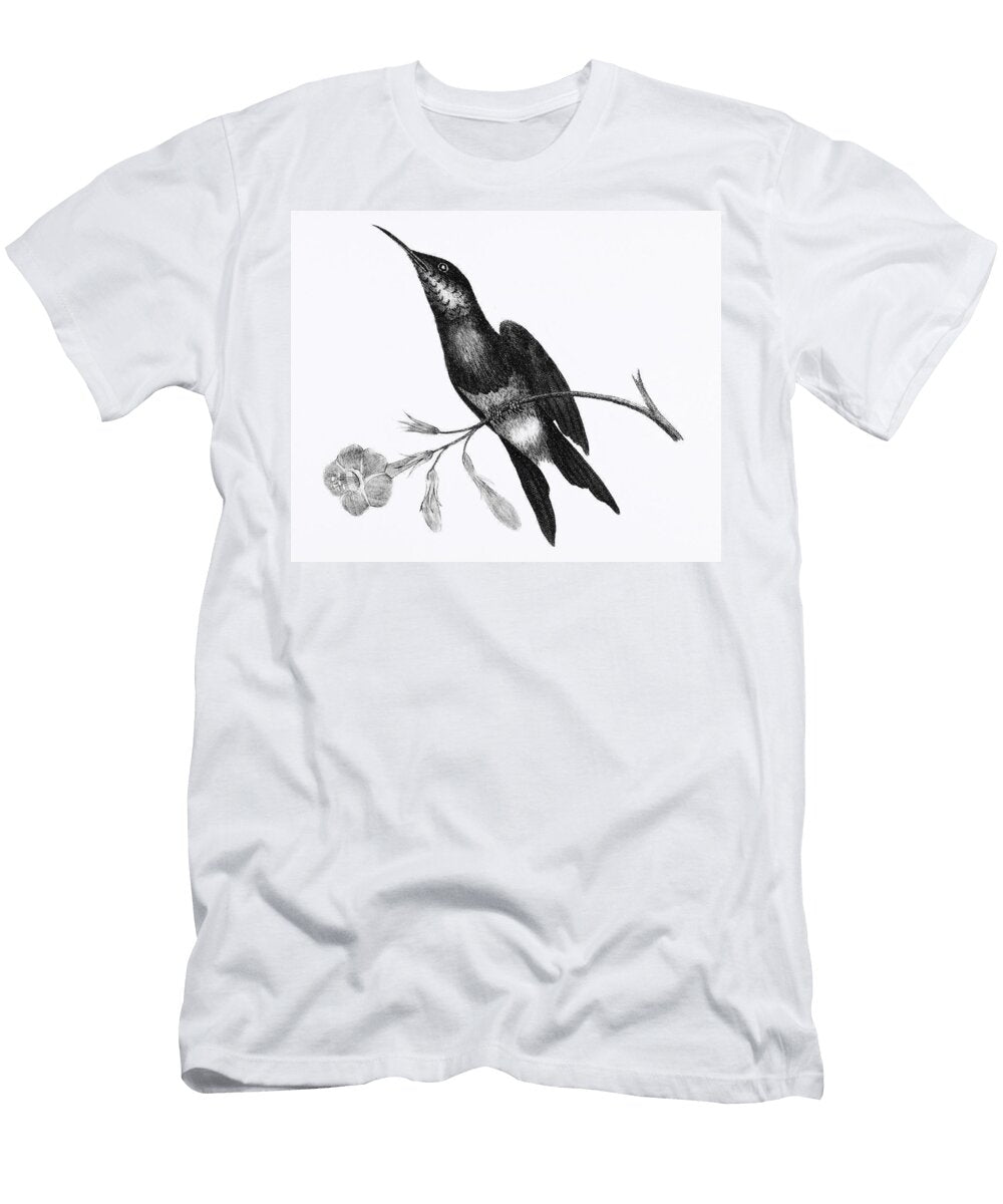 Sunbird From Zoological Lectures Delivered At the Royal Institution in the Years 1806 7 Illustrated Les Classics T-Shirt