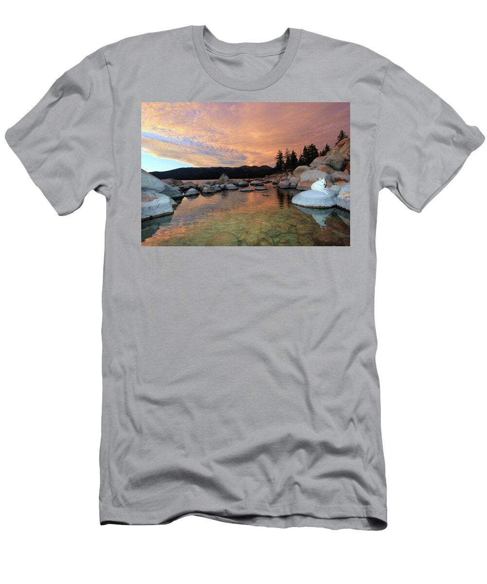 Sundown Portrait Sean Sarsfield T-Shirt
