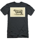 Sussex Cow Q1 Historic Illustrations T-Shirt