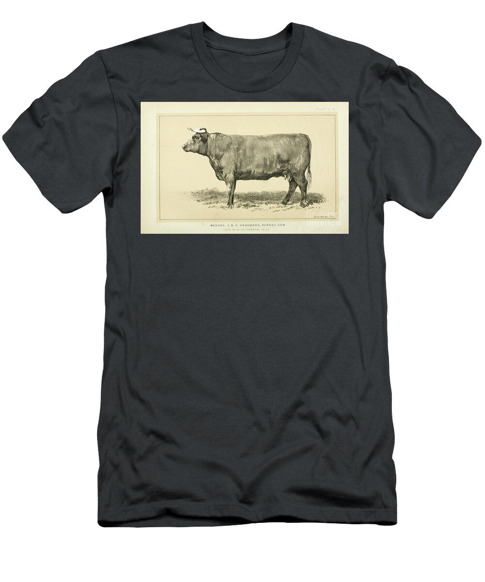 Sussex Cow Q1 Historic Illustrations T-Shirt