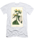 Sweet Root or Large Leaved Mussaenda Mussaenda Macrophylla European School T-Shirt