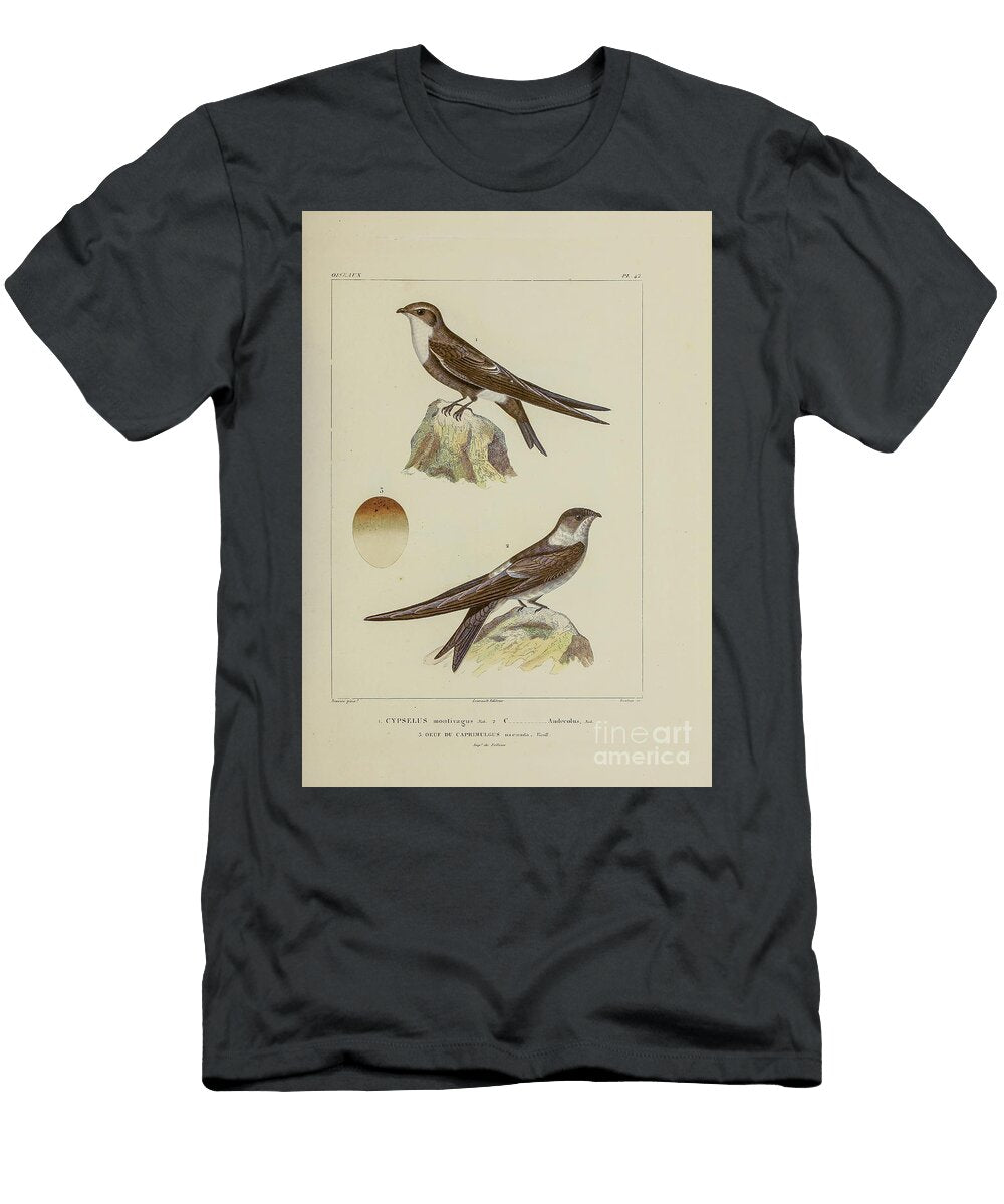 Swift Birds of South America 1835 U1 Historic Illustrations T-Shirt
