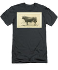 Swiss Brown Cow Q1 Historic Illustrations T-Shirt
