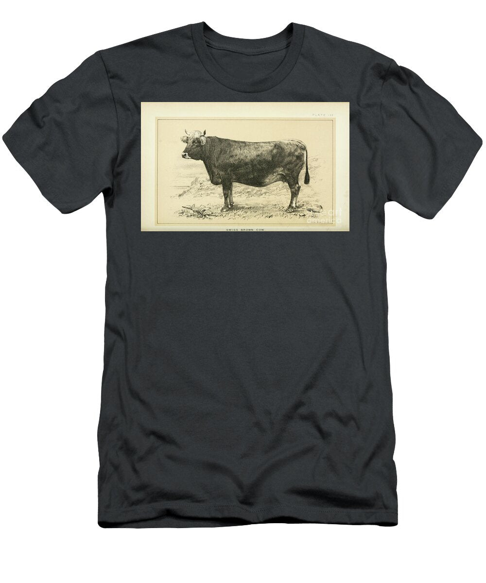 Swiss Brown Cow Q1 Historic Illustrations T-Shirt