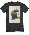 Sykes Monkey Cercopithecus Albogularis Historic Illustrations T-Shirt