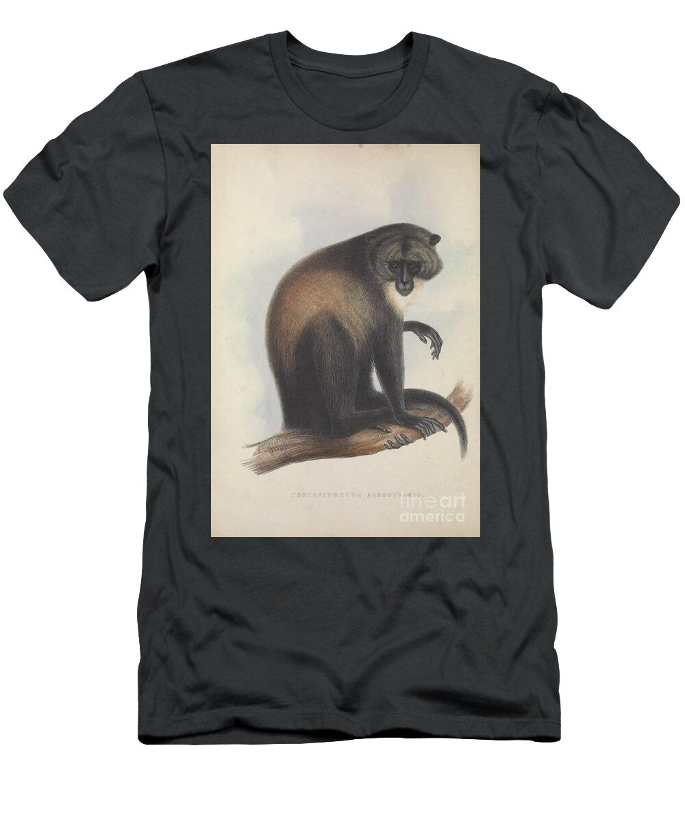 Sykes Monkey Cercopithecus Albogularis Historic Illustrations T-Shirt