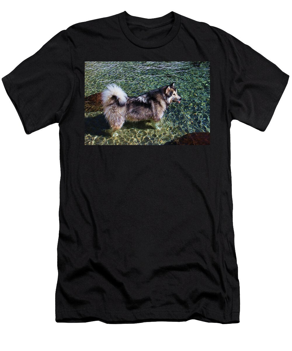 Tahoe Wooly Mammoth Sean Sarsfield T-Shirt