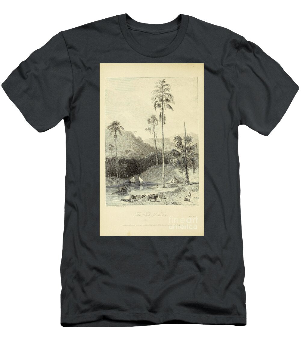 Talipat Tree J1 Historic Illustrations T-Shirt