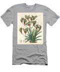 Tall Kangaroo Paw Anigozanthos Flavidus Two Coloured Anigozanthus Anigosanthos Flavida Var European School T-Shirt