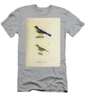 Tanager and Euphonia 1835 U1 Historic Illustrations T-Shirt