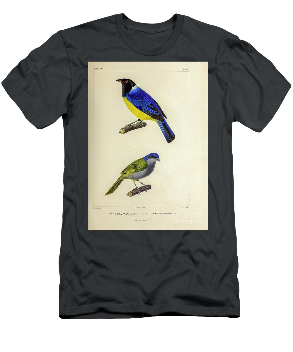 Tanagers of South America 1835 U2 Historic Illustrations T-Shirt