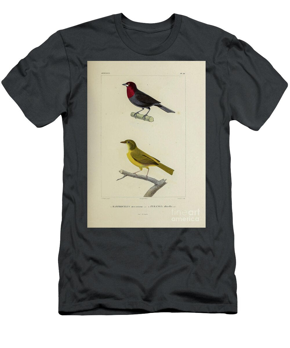 Tanagers of South America 1835 U3 Historic Illustrations T-Shirt