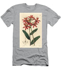 Terrestrial Orchid Variete Epidendrum Cinnabar Epidendrum or Crucifix Orchid Epidendrum Cinnabarinum European School T-Shirt
