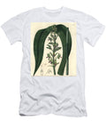 Terrestrial Orchid Variete Wild Coco Orchid Eulophia Alta Woodfords Cyrtopodium Cyrtopodium Woodfordii Sydenham Teast Edwards T-Shirt
