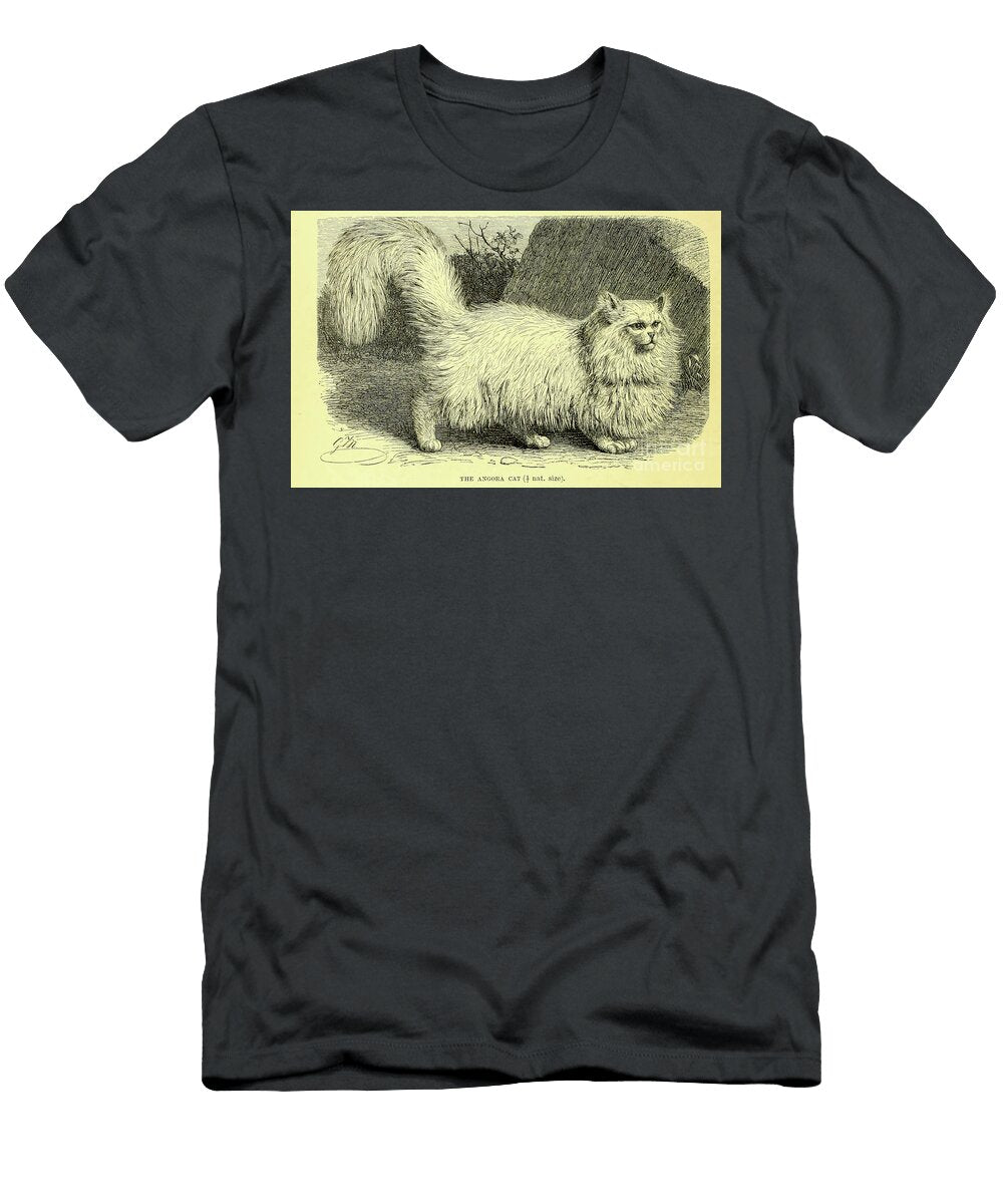 The Angora Cat L2 Historic Illustrations T-Shirt