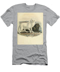 The Arctic Fox Vulpes Lagopus C1 Historic Illustrations T-Shirt