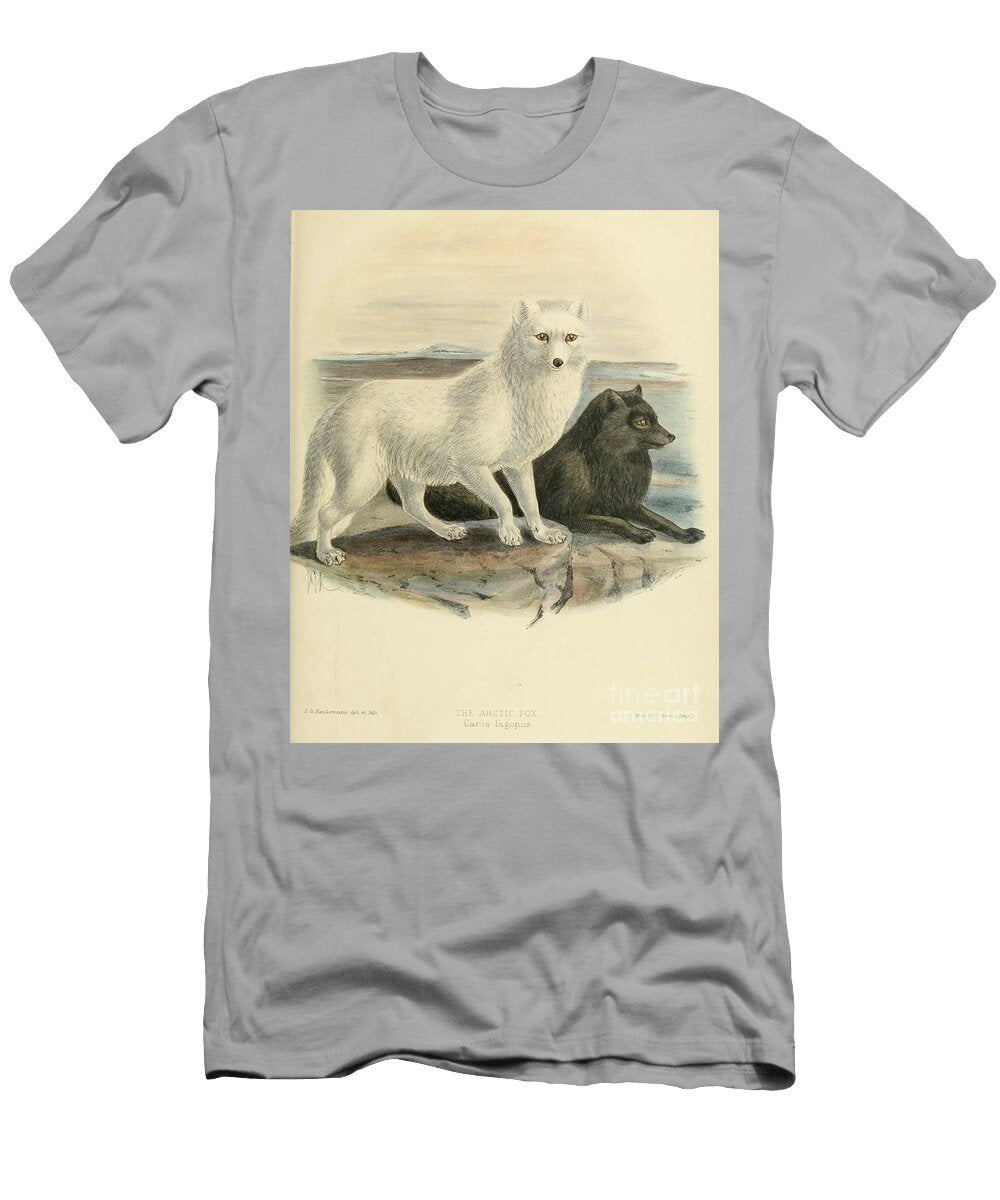 The Arctic Fox Vulpes Lagopus C1 Historic Illustrations T-Shirt