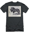 The Black Wildebeest Connochaetes Gnou M1 Historic Illustrations T-Shirt
