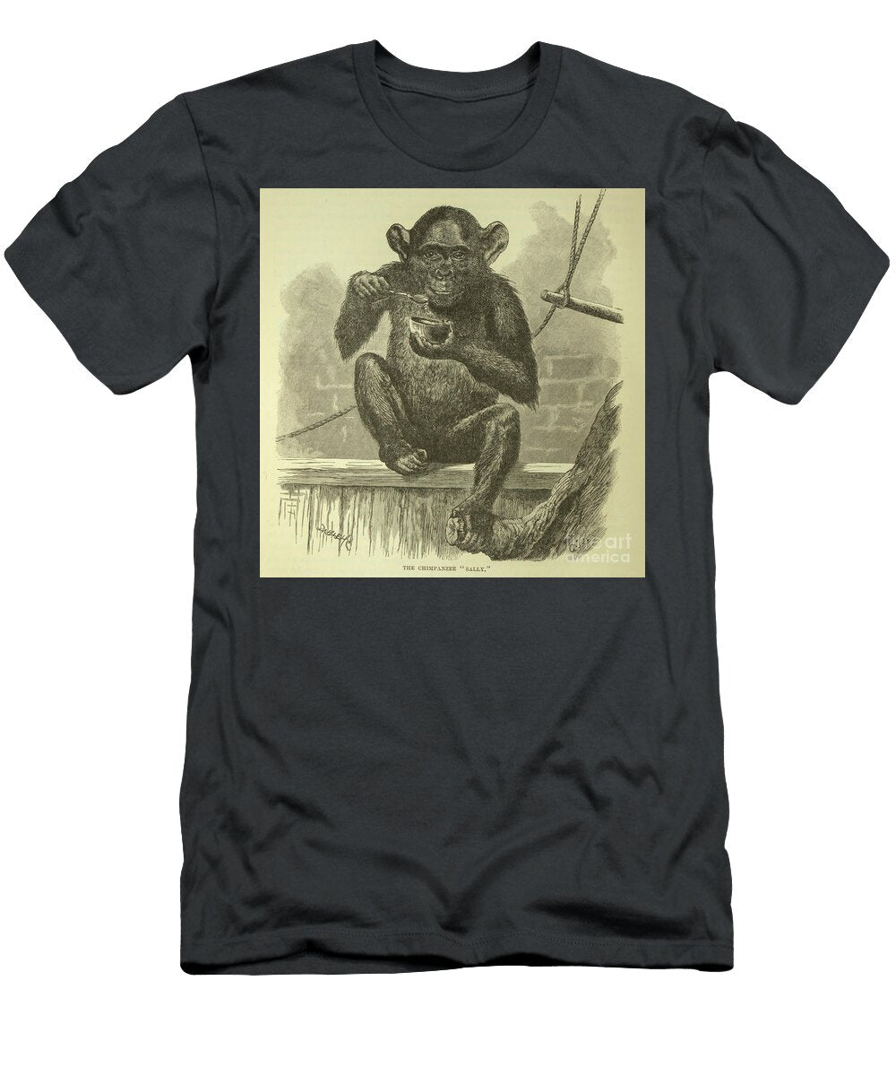 The Chimpanzee Sally L1 Historic Illustrations T-Shirt