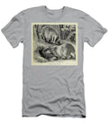 The Common Badger M1 Historic Illustrations T-Shirt